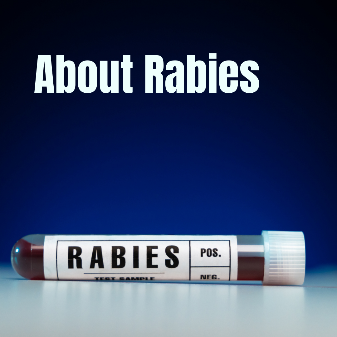 Rabies (3)