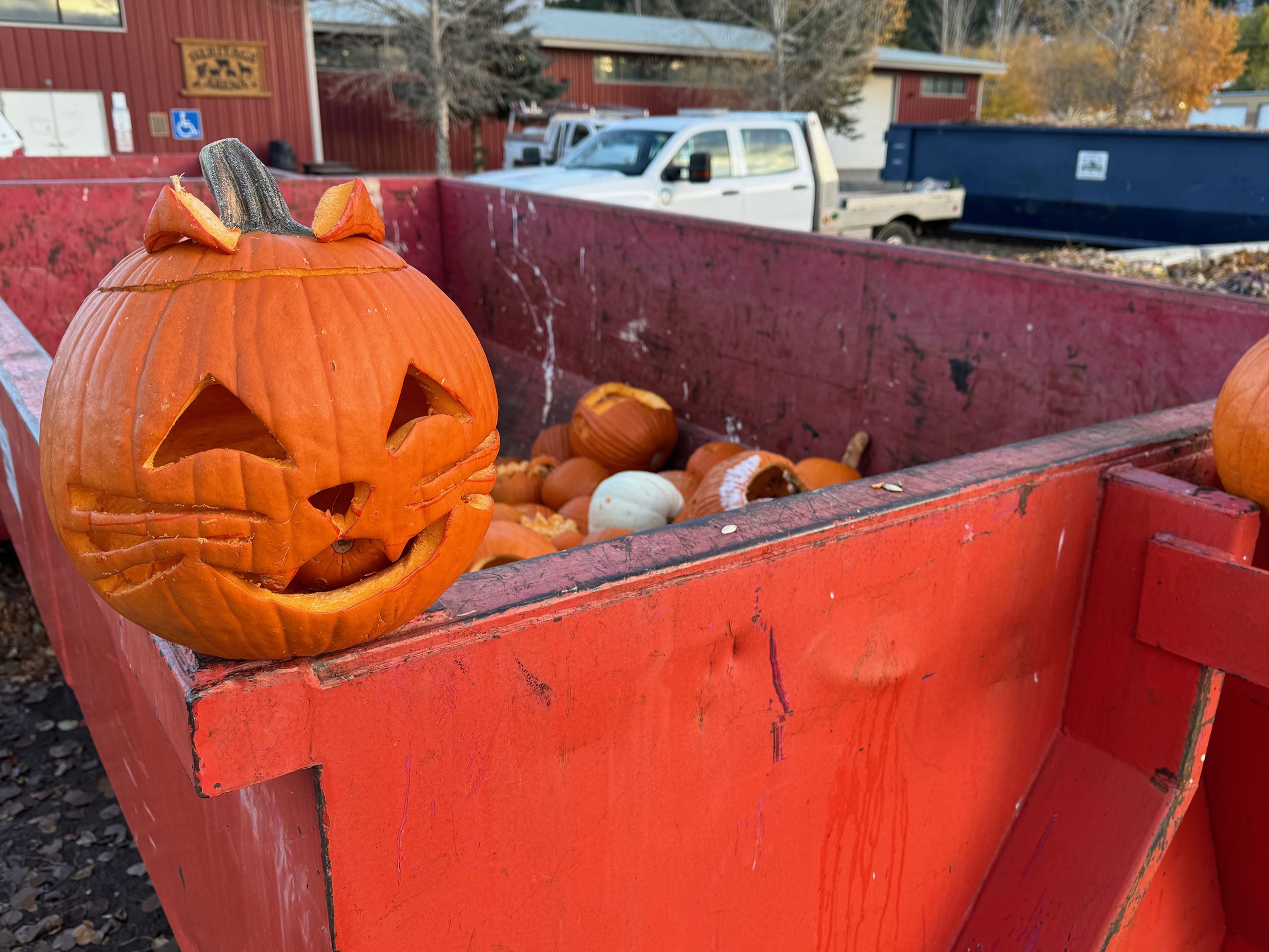 Halloween pumpkin collection